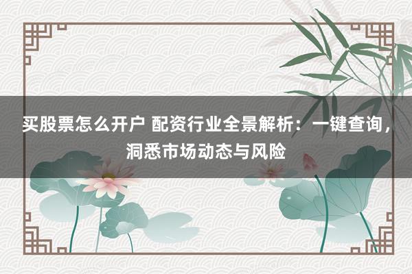 买股票怎么开户 配资行业全景解析：一键查询，洞悉市场动态与风险