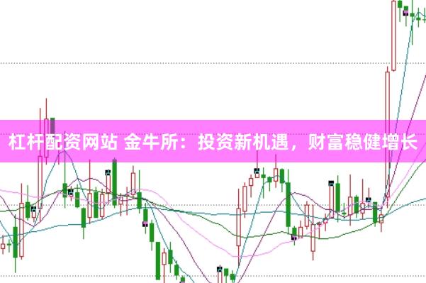 杠杆配资网站 金牛所：投资新机遇，财富稳健增长