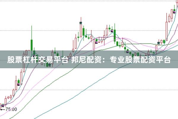 股票杠杆交易平台 邦尼配资：专业股票配资平台