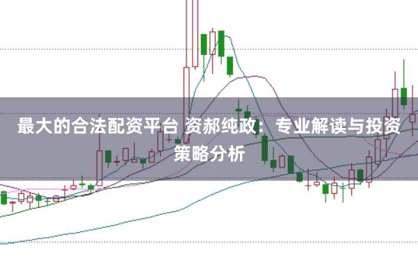 最大的合法配资平台 资郝纯政：专业解读与投资策略分析