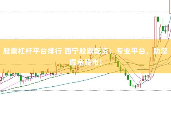 股票杠杆平台排行 西宁股票配资：专业平台，助您掘金股市！