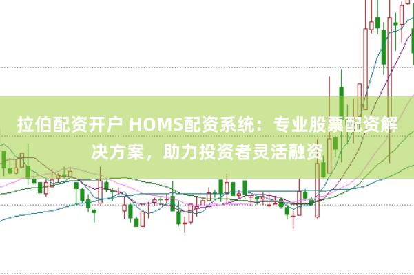拉伯配资开户 HOMS配资系统：专业股票配资解决方案，助力投资者灵活融资