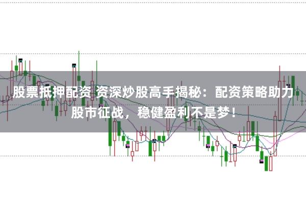 股票抵押配资 资深炒股高手揭秘：配资策略助力股市征战，稳健盈利不是梦！