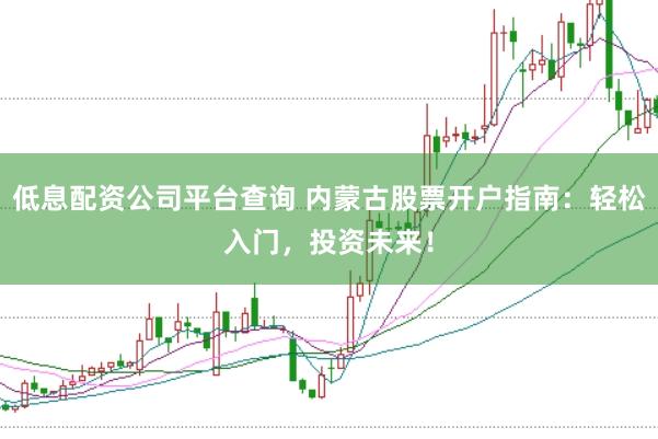 低息配资公司平台查询 内蒙古股票开户指南：轻松入门，投资未来！